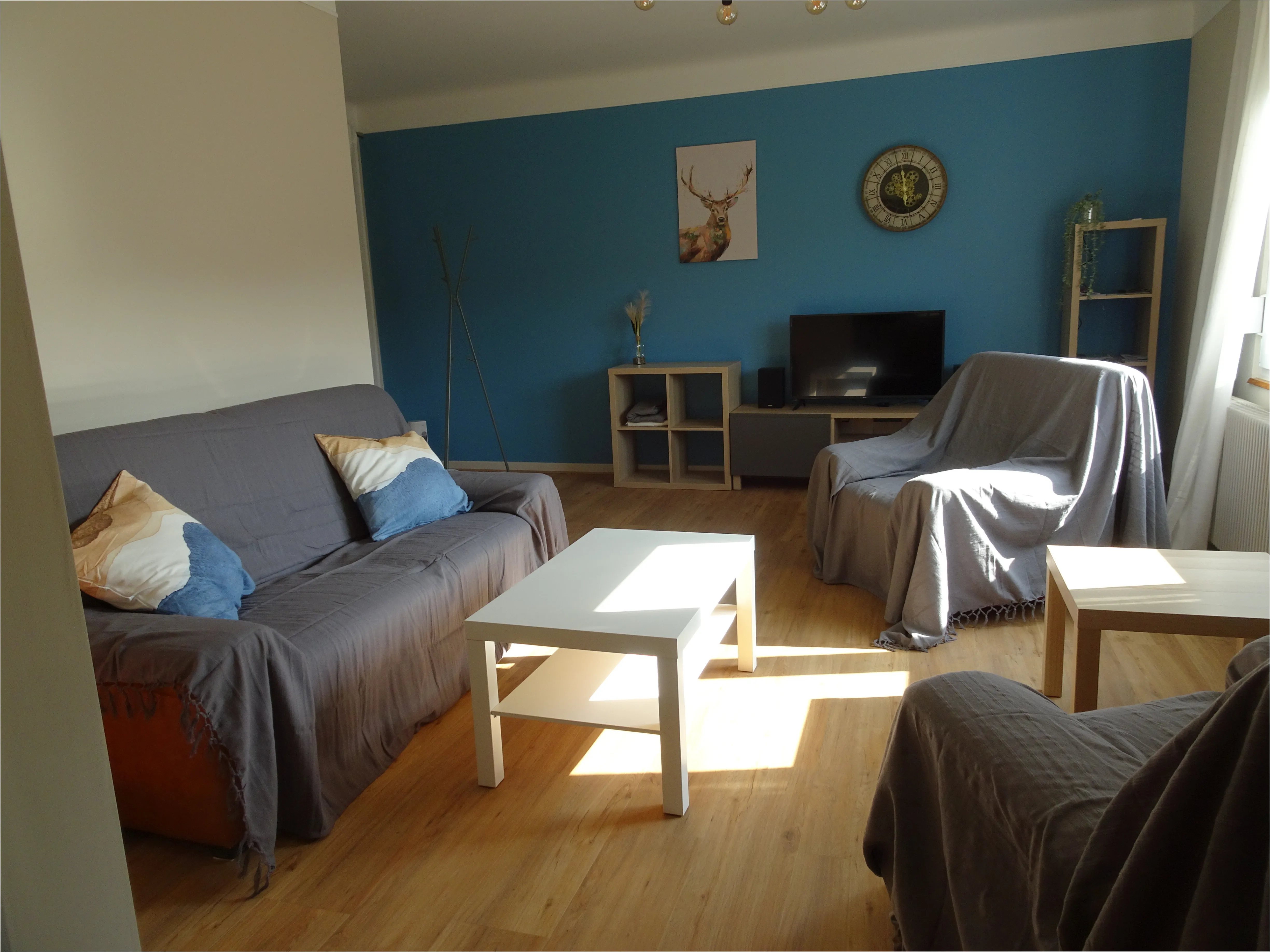 Living room with sofa and TV